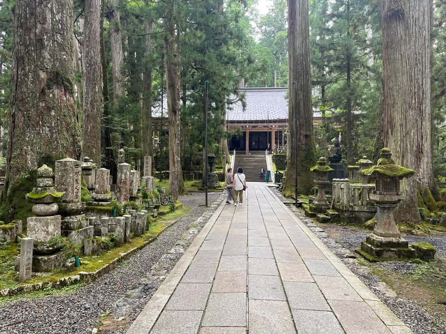 Mount Koya: Full-Day Private Guided Tour from Osaka - Should You Book This Mount Koya Private Tour From Osaka?
