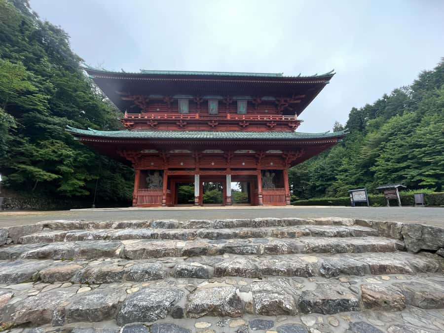 Mount Koya: Full-Day Private Guided Tour from Osaka - Osaka to Koyasan by Train and Cable Car: the Mood Shift That Makes the Day Work