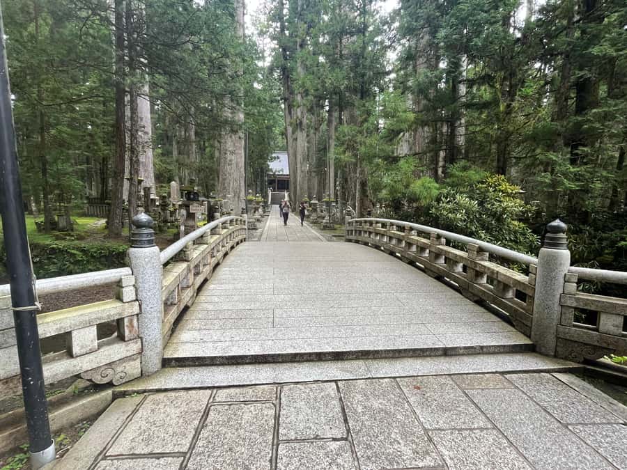 Mount Koya: Full-Day Private Guided Tour from Osaka - Lunch in Koyasan: Vegetarian Buddhist Food That Fits the Whole Setting