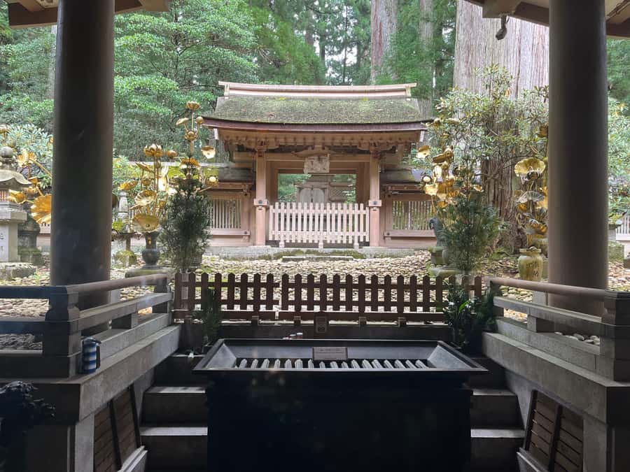 Mount Koya: Full-Day Private Guided Tour from Osaka - Why This Private Guided Format Is Pricing at $241 (and When It’s a Great Deal)