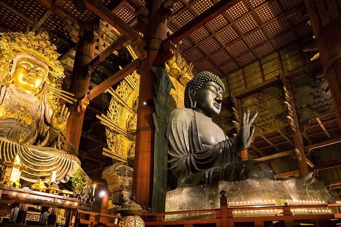 Nara 8hr Private Tour - Osaka DEP. with Licensed Guide - Key points worth your time