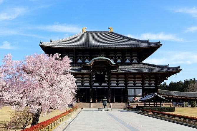 Nara Day Trip from Osaka with a Licensed Guide - Kasuga Grand Shrine: A Shinto Stop With Real Time to Breathe