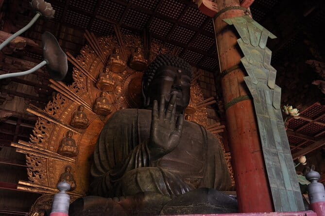 Nara Early Morning Tour (Osaka Departure Option) - Why Nara Feels Easier Before Noon
