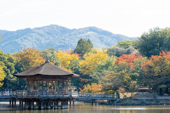 Nara : Private Day Walking Tour (From Osaka/Kyoto Possible) - Guide Quality Matters: Ask Questions, Get More Back