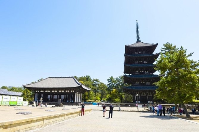 Nara Private Tour by Public Transportation from Osaka - Osaka to Nara by train: when a guide saves your sanity