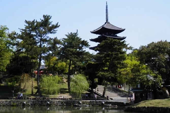 Nara Private Tour by Public Transportation from Osaka - The guide experience: where this tour wins or misses