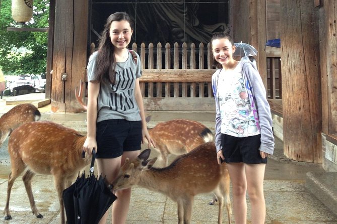 Nara private tour (Shore excursion available from Osaka or Kobe port) - Why this Nara private tour works for cruise days