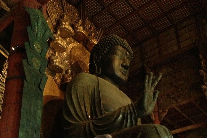 Nara private tour (Shore excursion available from Osaka or Kobe port) - How the day flows: 9:00 am start and an 8-hour rhythm
