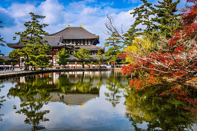 Nara Private Tour with Pick and Drop and English Speaking Driver - Price and Entrance Fees: What You’re Really Paying For