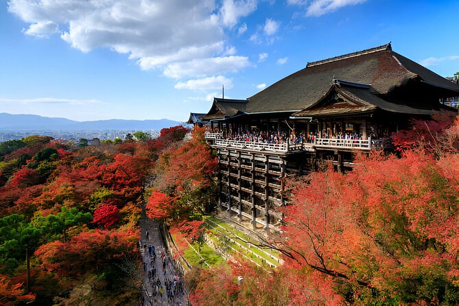 Nara Private Tour with Pick and Drop and English Speaking Driver - What You Can Expect From the English-Speaking Driver
