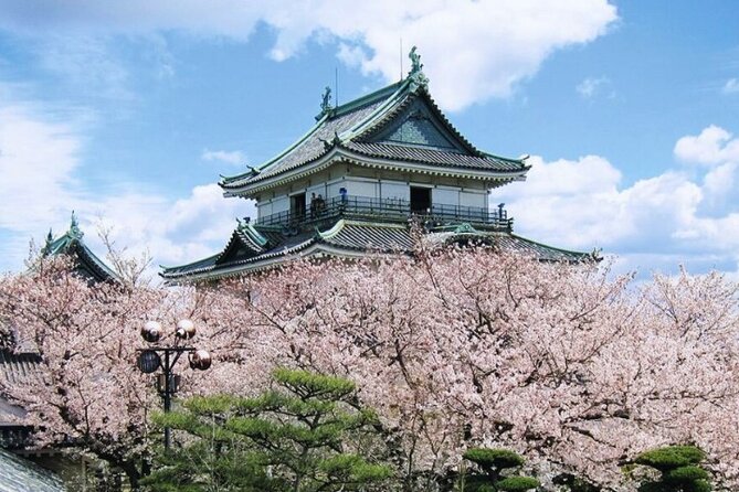 Nara, Todaiji Temple & Kuroshio Market Day BUS Tour from Osaka - Timing Reality Check: When 10 Hours Feels Like Riding Time