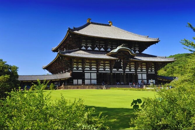 Nara, Todaiji Temple & Kuroshio Market Day BUS Tour from Osaka - Kuroshio Market: Fresh Seafood Energy and a Tuna Show