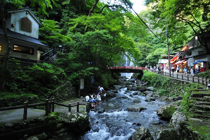 Nature Walk at Minoo Park, the Best Nature and Waterfall in Osaka - Price and value: is $91.96 actually a fair deal?
