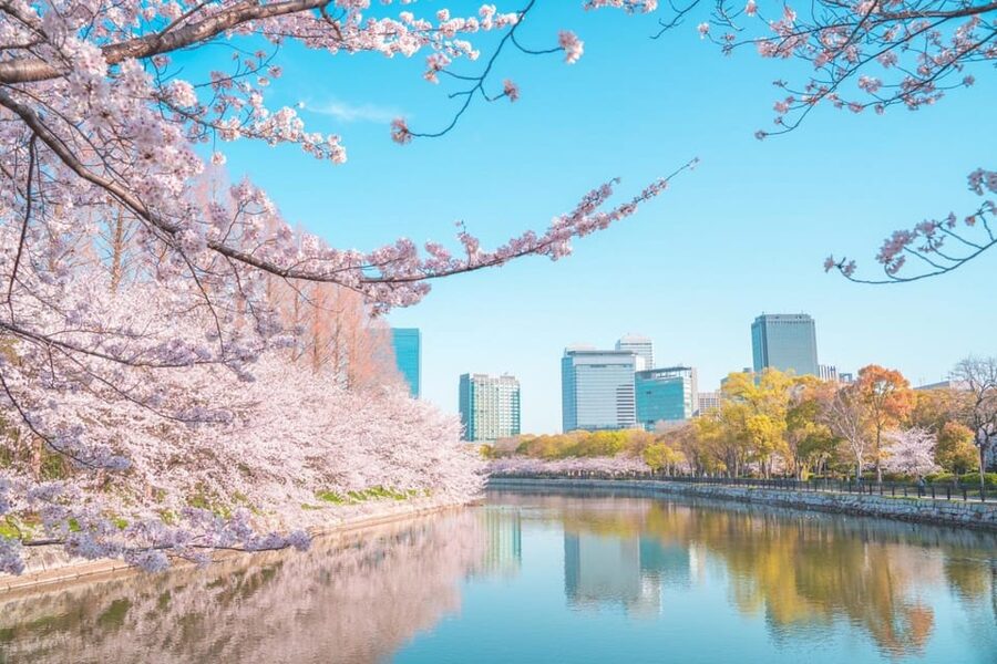 Osaka: 1-Day Private Customizable Trip by Car - Key highlights that make this Osaka day feel easy