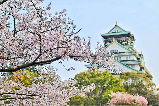 Osaka 6 hr Private Tour: English Speaking Driver Only, No Guide - Shinsekai and Tsutenkaku: Retro Osaka, Billiken, and Optional Detours