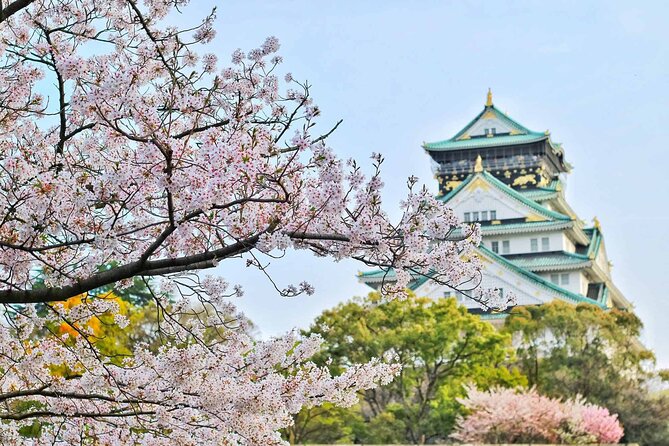 Osaka 8hr Private Tour with Government-Licensed Guide - The Custom 3–4 Stop Plan (and How to Choose Well)
