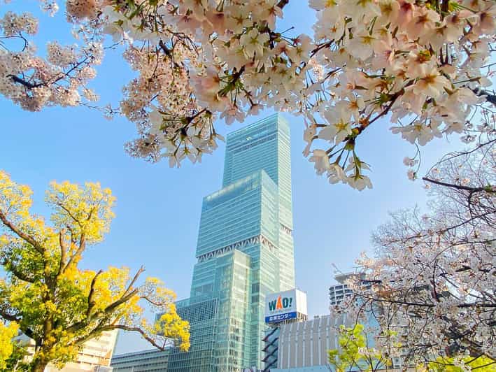 Osaka: Abeno Harukas 300 Observatory E-Ticket - Entering Abeno Harukas 300 and finding your bearings fast