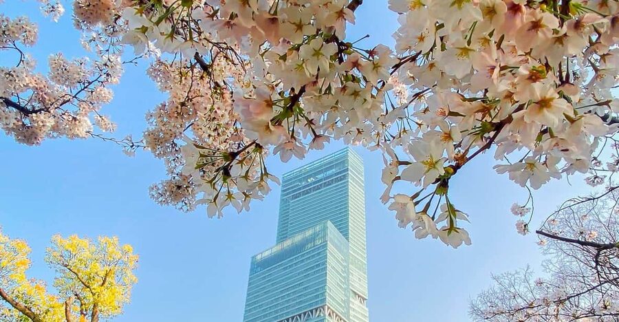 Osaka: Abeno Harukas 300 Observatory E-Ticket - Sky Garden 300: where to eat when food is banned upstairs