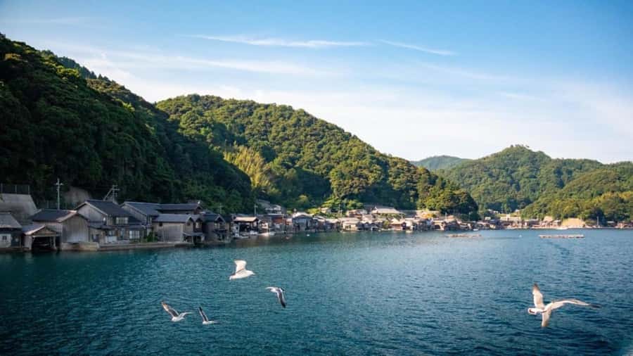 Osaka: Amanohashidate, Ine Bay, Miyama with lunch Day Trip - Who This Osaka Day Trip Is Best For