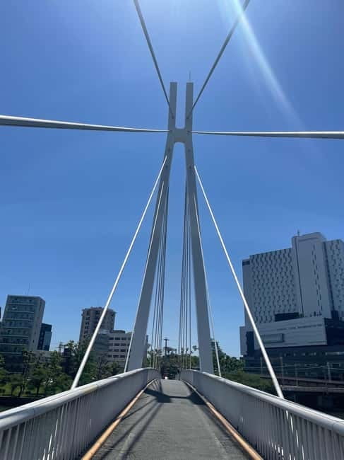 Osaka: Bike Adventure with Lunch - Key Highlights at a Glance