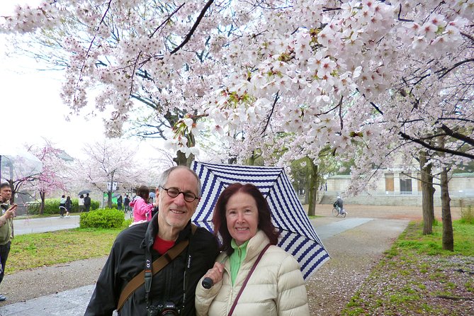 Osaka Castle and Sumiyoshi Taisha Shrine Private Half-Day Tour - Should you book this private Osaka Castle and Sumiyoshi Taisha tour?