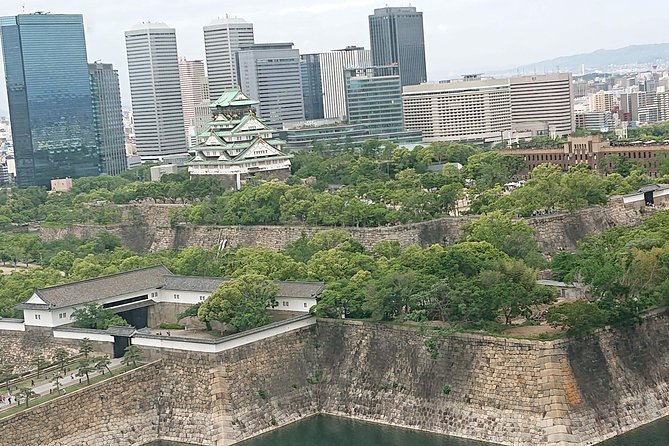 Osaka Castle & Dotonbori Lively One-Day Walking Tour - Key highlights you’ll feel fast