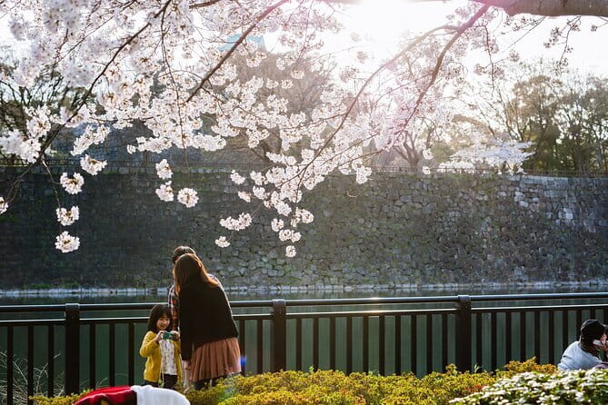 Osaka Castle & Samurai History Walking Tour - Nishinomaru Garden: the calm contrast inside the fortress