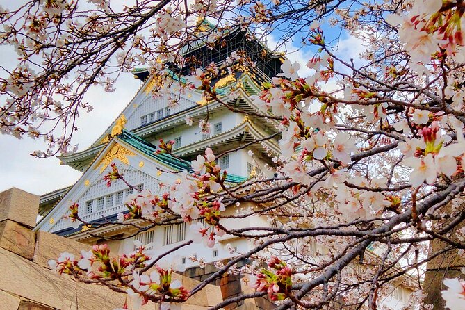 Osaka Castle & Temple Walking Tour with Multilingual Audio Guide - Key Highlights You’ll Care About