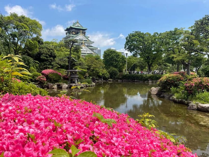Osaka: City Highlights Bike Tour - Why This Bike Tour Feels Efficient (Without Rushing)