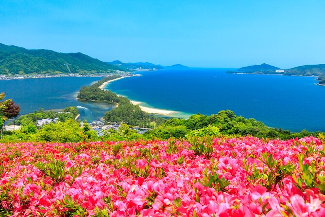 Osaka Day Tour: Amanohashidate & Ine Bay - Key Things I’d Prioritize on This Tour