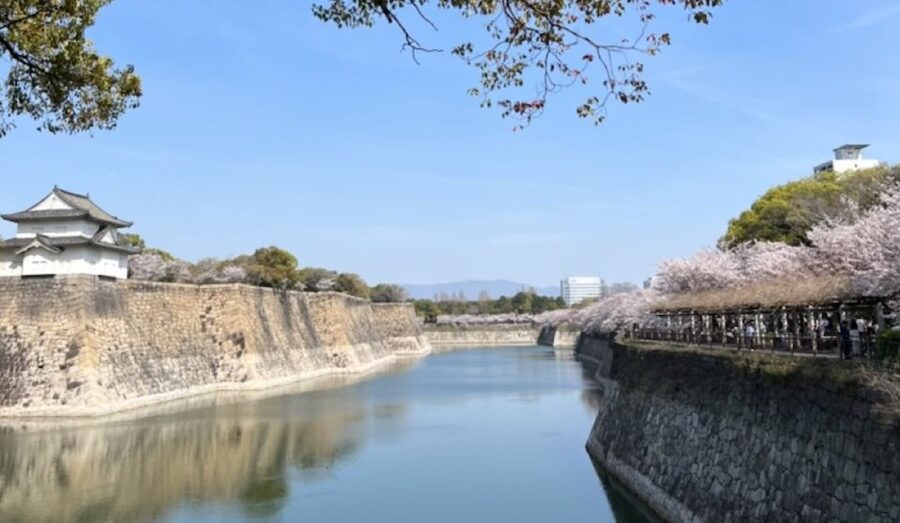 Osaka: Full-Day City Tour with a Guide and Public Transport - Why This One-Day Osaka Tour Works Before Your Flight