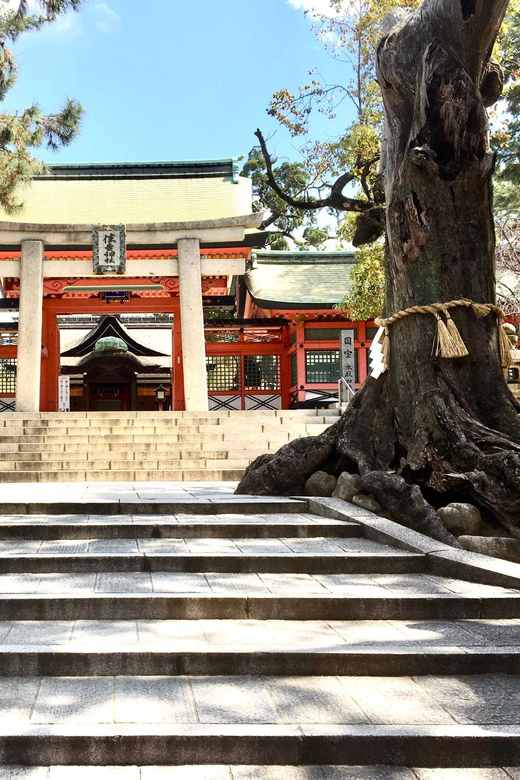 Osaka: Full-Day Private Guided Tour of the Historical City - Price and Logistics: What $225 Gets You (and What Costs Extra)