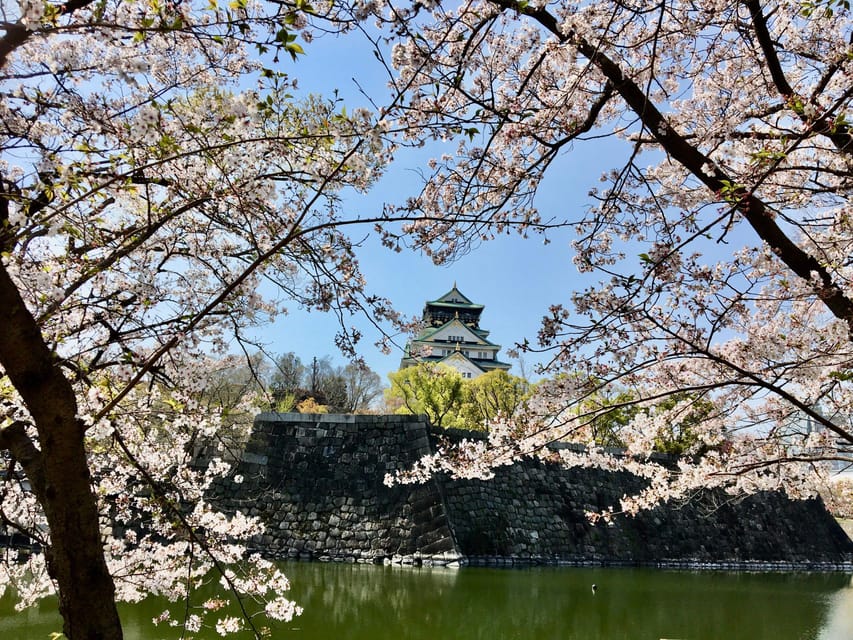 Osaka: Full-Day Private Guided Tour of the Historical City - Your Guide Makes the Difference (And Mouloud’s Strength Is Answers)