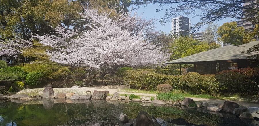 Osaka: Full-Day Sightseeing Tour by Private Vehicle - Shitennoji: the old temple stop that grounds the whole day