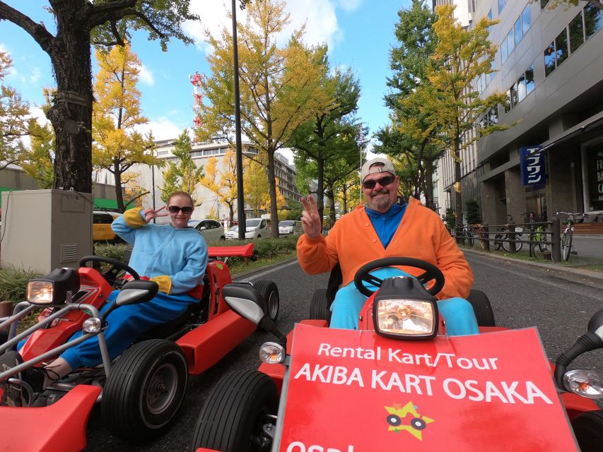 Osaka: Guided Go Karting Tour in a Funny Costume - Dotonbori to Tsutenkaku: The Most Memorable Stretch