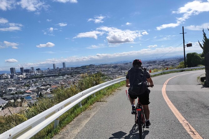 Osaka Half-day E-bike Adventure: Minoh Falls & Katsuoji Temple - Why Minoh Falls and Katsuoji work so well in one ride