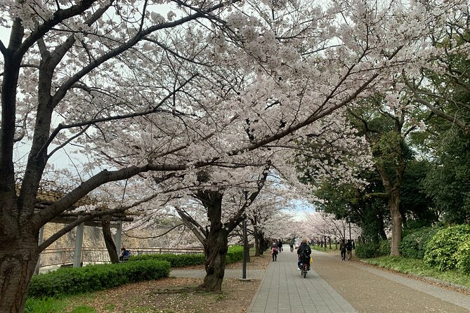 Osaka Highlights: 4Hrs Guided Walking Tour with a Native Expert - Hokoku Shrine Inside Castle Grounds: Quick, Worth It