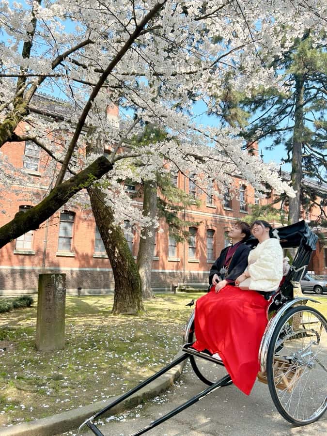 Osaka: Kimono Rental Traditional Experience at WARGO - Why an Osaka Kimono Rental Feels Different