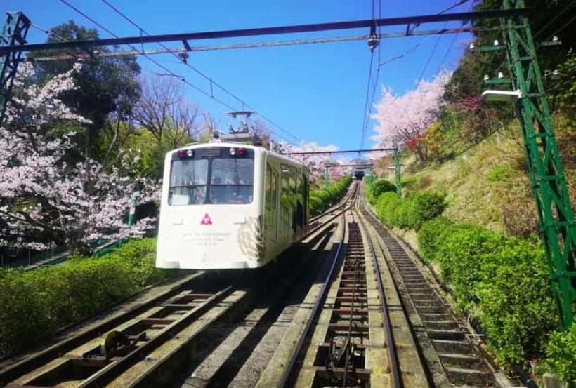 Osaka/Kyoto: Amanohashidate & Miyama Tour with Boat & Lunch - How the Day Feels: Long Bus Hours, but a Packed Route