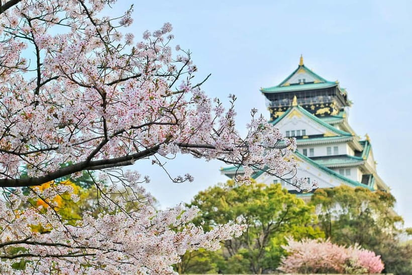 Osaka: Kyoto and Nara Private Day Trip - Nara Park Deer Time and Todai-ji’s 15-Meter Great Buddha
