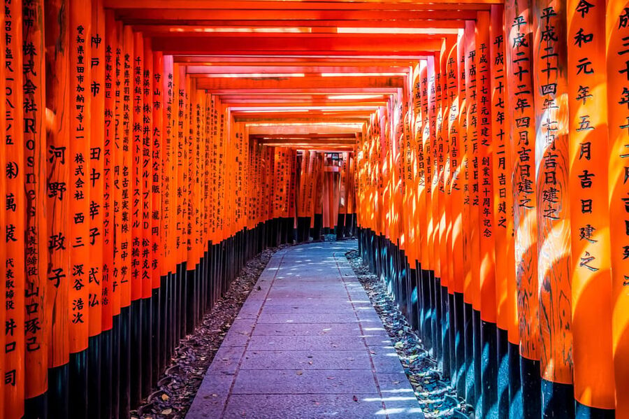Osaka/Kyoto: Arashiyama, Nara Park, Fushimi Shrine Tour - A Quick Reality Check: 10 Hours and Three Big Stops