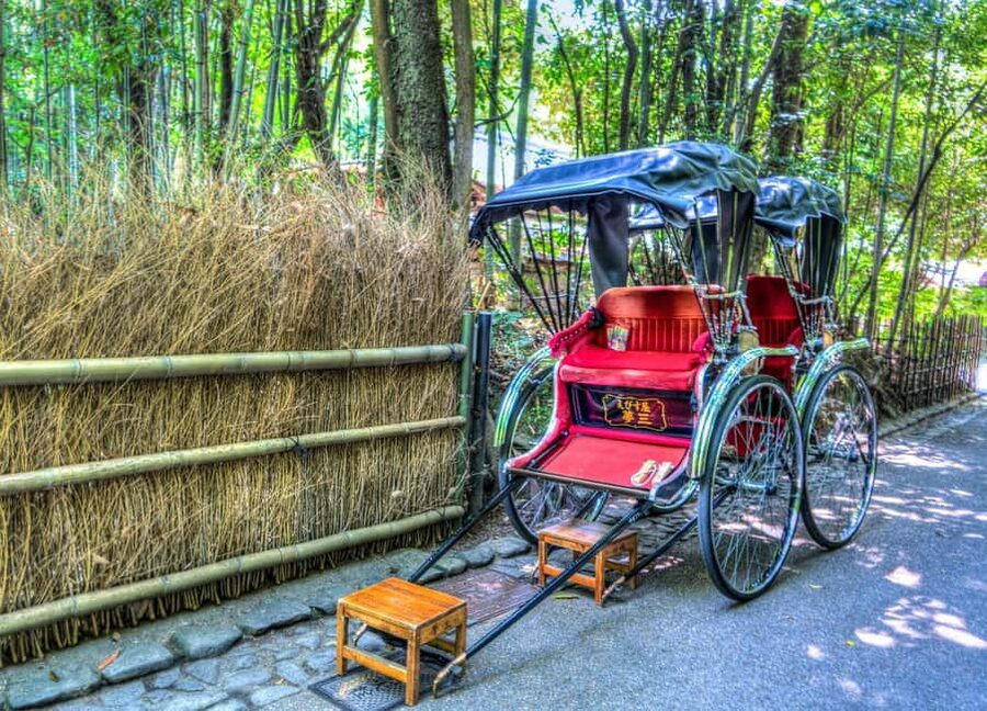 Osaka/Kyoto: Arashiyama, Nara Park, Fushimi Shrine Tour - Nara Deer Park and Kasuga Taisha Area: Managing 1,000 Plus Deer