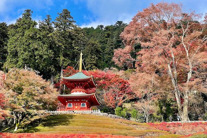 Osaka / Kyoto: Katsuoji, Arashiyama & Kinkaku-ji One Day Tour - Rilakkuma Tea House: a quick break that still fits the day