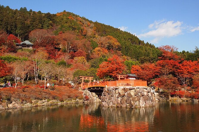 Osaka / Kyoto: Katsuoji, Arashiyama & Kinkaku-ji One Day Tour - Price and value: what you’re paying for, and what you add on