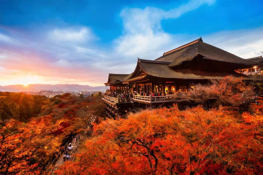 Osaka/Kyoto: Kiyomizudera Fushimi Inari, Nara Tour w/ Pickup - Key highlights worth caring about