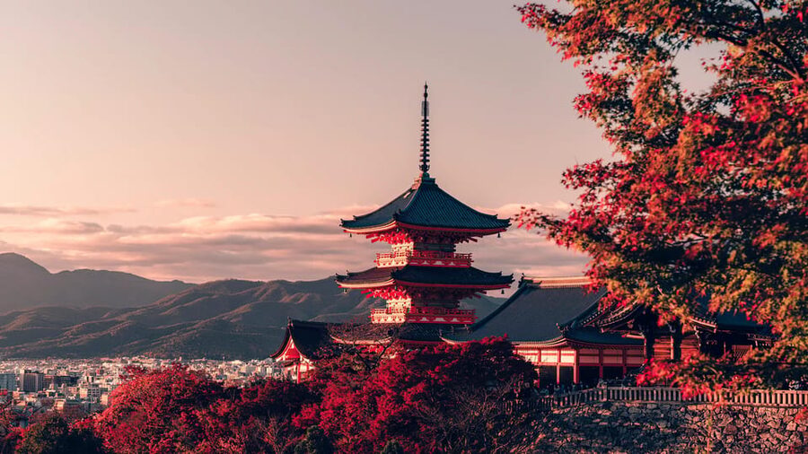 Osaka/Kyoto: Kiyomizudera Fushimi Inari, Nara Tour w/ Pickup - Nara Park Deer Time: Fun Encounters With Real Rules