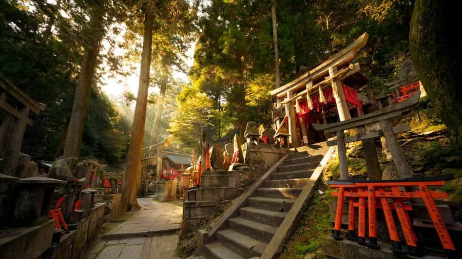Osaka/Kyoto: Kiyomizudera Fushimi Inari, Nara Tour w/ Pickup - Todai-ji Temple: The Great Buddha Gives You Scale, Not Just Photos