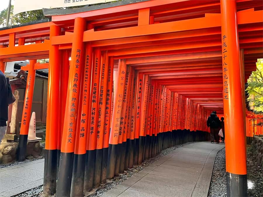 Osaka/Kyoto: Kiyomizudera Fushimi Inari, Nara Tour w/ Pickup - Price and Value: What Your $54 Really Buys