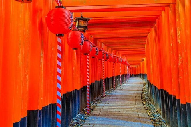 Osaka & Kyoto & Nara Top Hightlights English Speaking Tour - Senbon Torii at Fushimi Inari With Room to Wander
