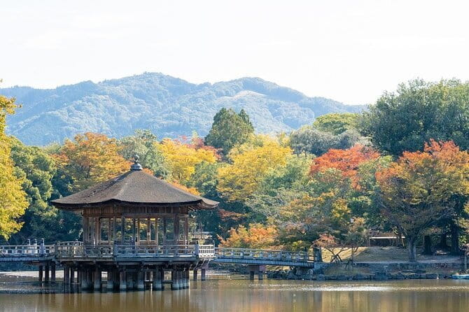 Osaka & Kyoto & Nara Top Hightlights English Speaking Tour - Price, Included Fees, and What You’ll Pay Separately